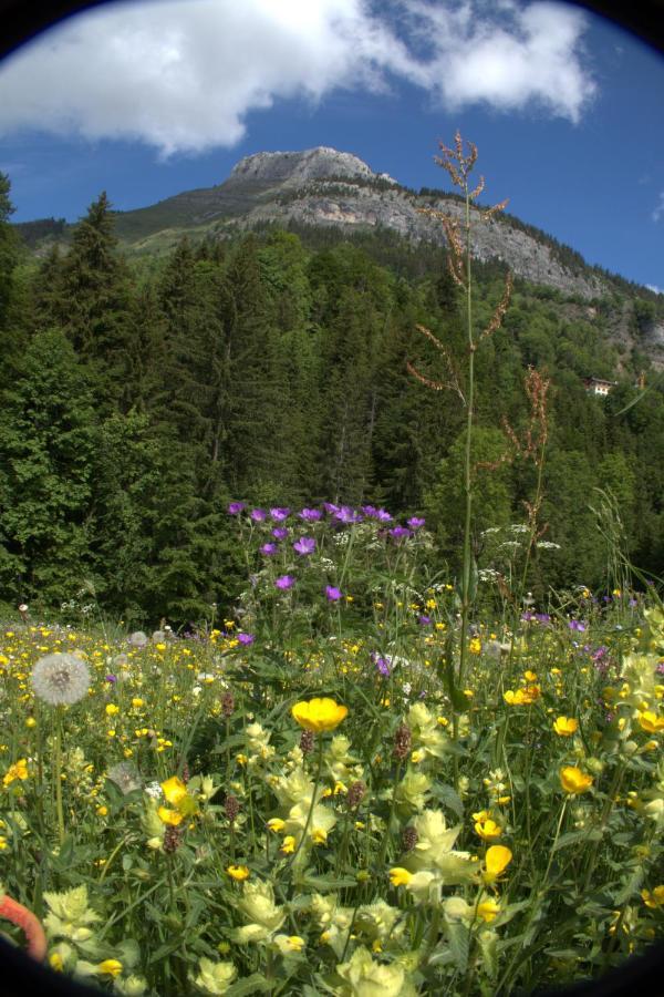 Charmieux Appartement En Chalet Typique Le Grand-Bornand Luaran gambar