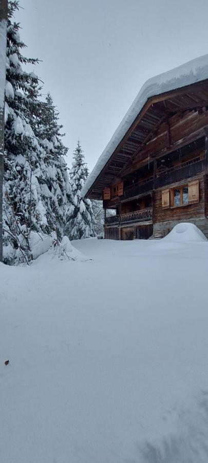 Charmieux Appartement En Chalet Typique Le Grand-Bornand Luaran gambar
